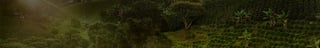 background small banner recycling