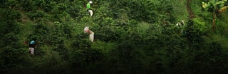 banner duurzaamheid v4