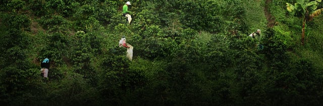 banner duurzaamheid v4