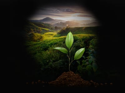 hero chapter chapter04